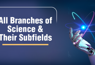 Main Branches of Science and Their Subfields