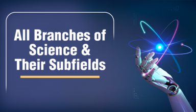 Main Branches of Science and Their Subfields
