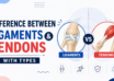 Difference Between Ligaments and Tendons with Types