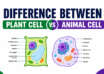 Difference Between Plant Cell and Animal Cell