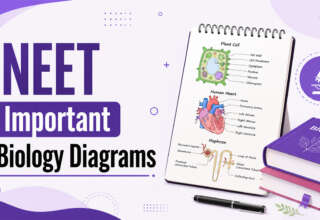 NEET Important Biology Diagrams