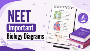NEET Important Biology Diagrams