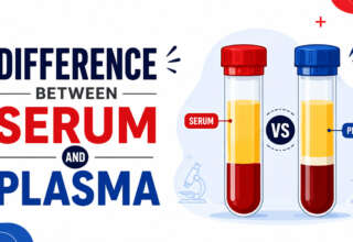 Difference Between Serum and Plasma