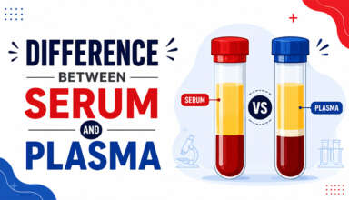 Difference Between Serum and Plasma