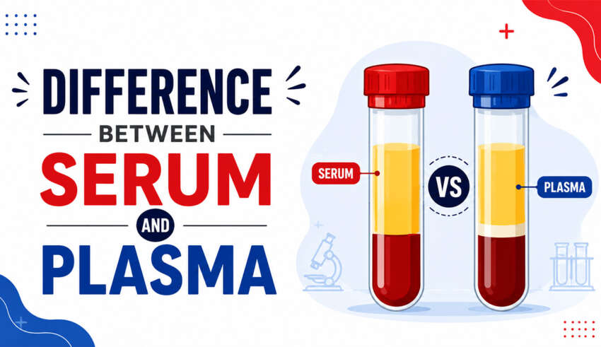 Difference Between Serum and Plasma