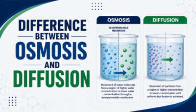 Difference Between Osmosis and Diffusion
